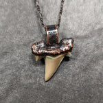 Fossilized Shark Necklace