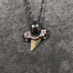 Fossilized Shark Necklace